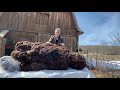 Bigfoot Frozen for 65 years