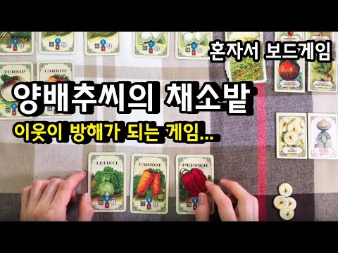 양배추씨의 채소밭 플레이 영상