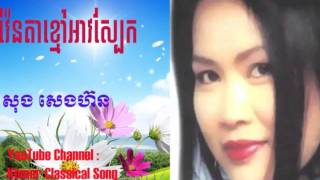 វ៉ែនតាខ្មៅអាវស្បែក - សុង សេងហ៊ន