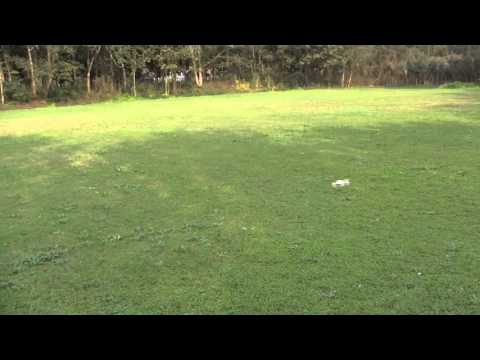 Hubsan Q4 H111 Mini 4CH 2.4G RC クワッドコプター