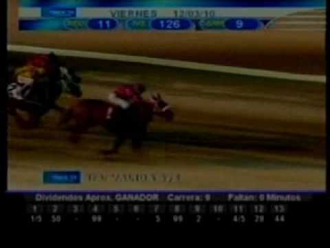 Resumen 12 de Marzo 2010 - Valencia