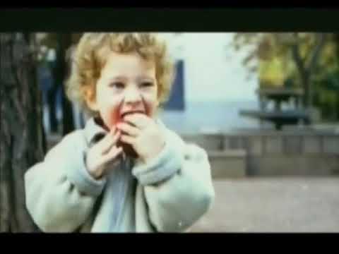 ნიაზ დიასამიძე & 33ა - c'est la vie / Niaz Diasamidze & 33A - c'est la vie