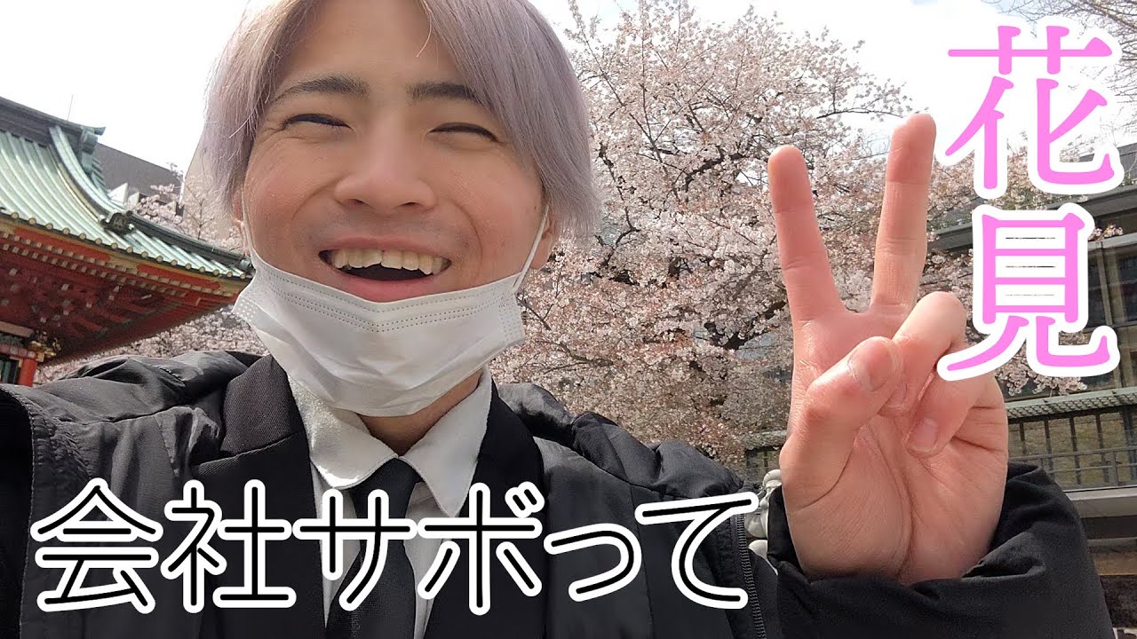 【新社会人】会社サボって花見行ってきた。