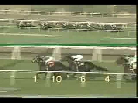 Cigar: 9th start - Nov. 20, 1993 - Hollywood Derby