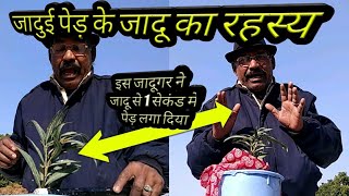 जादुगर ने जादु से 1पल में पेड़ लगा दिया  Part 33
