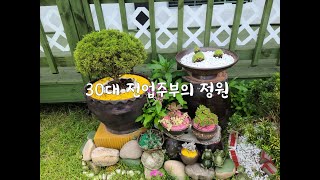 30대 전업주부의 아이디어로 만든 아름다운 정원
