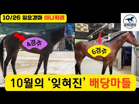 10/26 일요-윤택-경마 아나짜리 잊혀진 배당마들 발본색원
