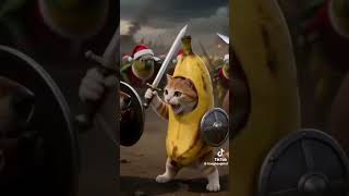 Cover art for what the dog doing pipilapu