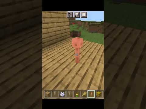 Witch's broom Design in Minecraft #shorts #trending