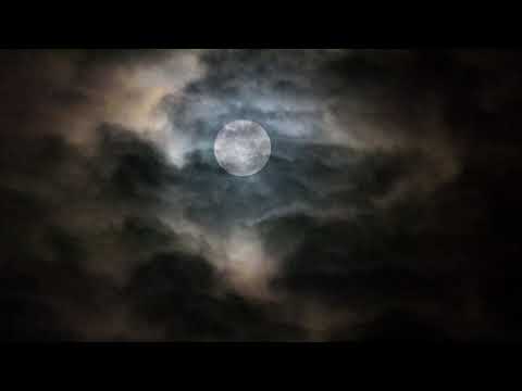 Bass Temp - Sickness