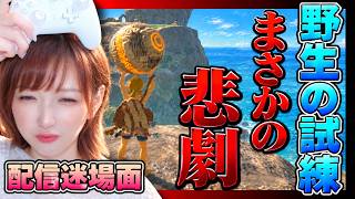 【📣配信切り抜き】サイハテノ島～野生の試練～でとんでもない悲劇が起こる⚡【ゼルダの伝説 ブレワイ】