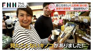 子供が夢中！夏に行きたい北関東「道の駅」【しらべてみたら】
