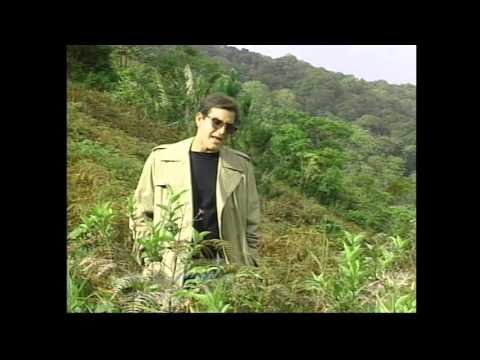 Sorry - Soca Elvis Classic