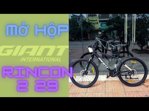 Giant Rincon 2 29 | bánh 29 polegadas | 2022 - Preto