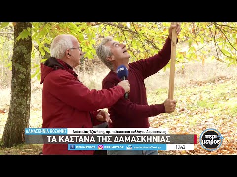 Τα καστανά της Δαμασκηνιάς | 26/10/2023 | ΕΡΤ
