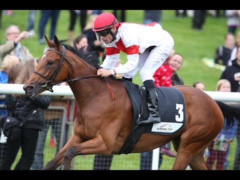 Hannover: Großer Preis des Gestüt Etzean (Listenrennen) - Siegerin: Fuscetta