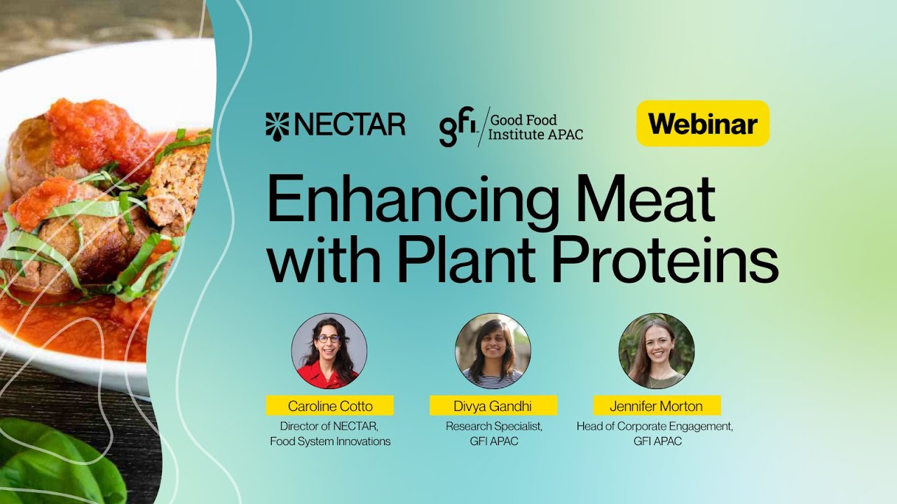 Enhancing Meat with Plant Proteins: A Sensory Analysis in APAC