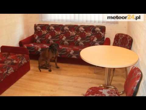 Ośrodek Domków BLISKO MORZA - Międzywodzie meteor24.pl