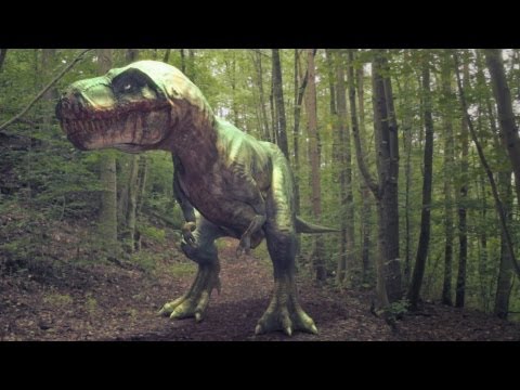 Jurassic Dino Forest - Dinosaur Animation