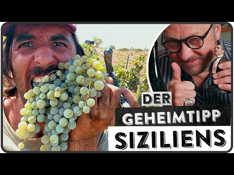 Sizilien im Glas - Il Mortellito: Authentisch, Echt und Unverfälscht - 5 MINUTEN FÜR WEIN AM LIMIT