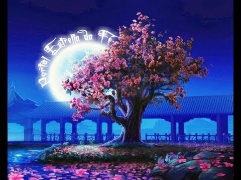 Hinário - A Nave do Espírito Santo - Santo Dai-me