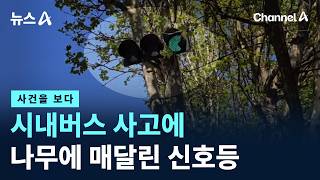[사건을 보다]시내버스 사고에…나무에 매달린 신호등 / 채널A / 뉴스A