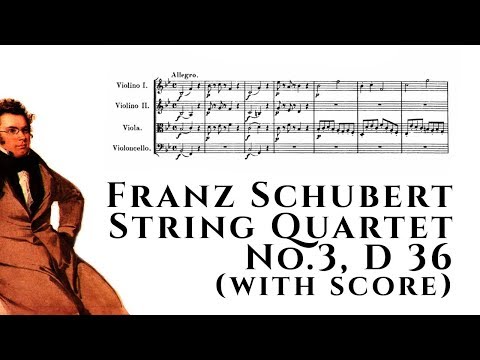 Franz Schubert - String Quartet No.3, D 36 (with score)