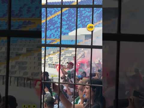 الجماهير الجزائرية تشعل الأجواء في مدرجات &quot;دونور&quot;