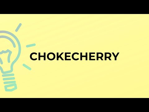What is the meaning of the word CHOKECHERRY?