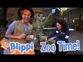Blippi S Awesome San Diego Zoo Adventure Blippi Kids Show Toddler Learning Cartoons