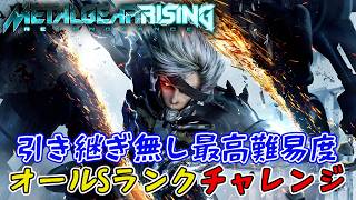 【地獄】メタルギアライジング　引き継ぎ無し最高難易度オールSクリアチャレンジ　#1