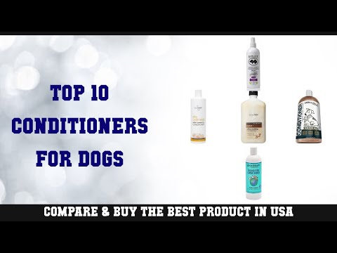 Top 10 Conditioners for Dogs to buy in USA | Price & Review