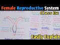 Female Reproductive System | Fallopian Tube | Uterus | Oogenesis | Class 12 Biology