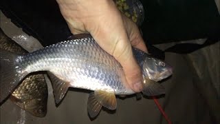 Рыбалка на море ростовская область степной курган