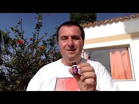 Ölvideo der Woche - BlueEucalyptus, Palo Santo und RutaVala