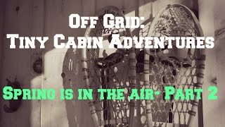 Off Grid Tiny Cabin Adventures: Spring is in the Air- PART 2