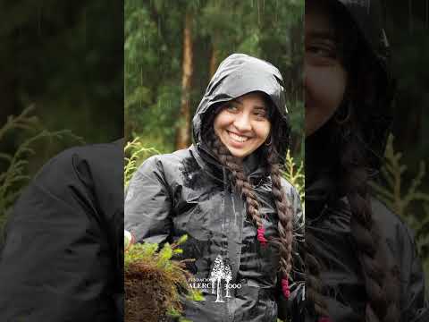 Educación, Silvicultura y Ciencia Aplicada en Vodudahue