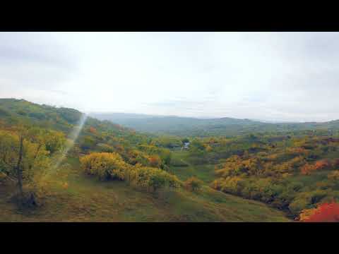 Autumn is here (Sarulesti, BZ)