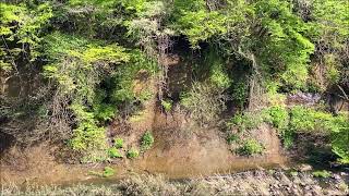 衣川鳴石橋から見る滝・・・滝もどきの滝？