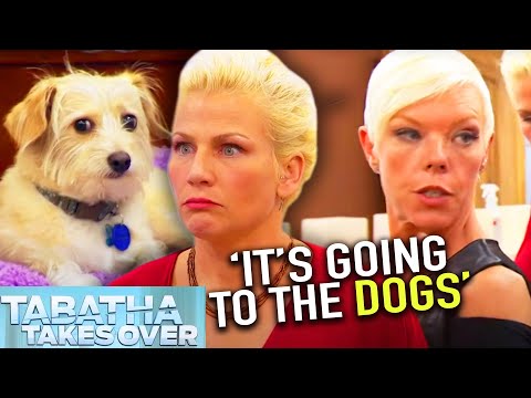 Doggy DAYCARE Disaster - Tabatha Takes Over | S04E09 | Beauty Rescue (Reality TV) | Fresh Lifestyle