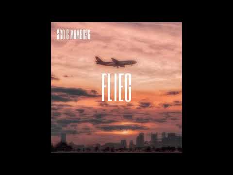 $co & Mambo36 - Flieg (prod Mambo boomin)