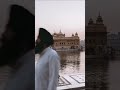 Gurbani Kirtan Shorts