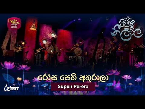 Rosa Pethi Athurala | රෝස පෙති අතුරාලා | Supun Perera| Piyum Neela Vila |Roo Tunes
