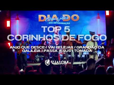 TOP 5 Corinhos de Fogo - Banda Shalom (2024)