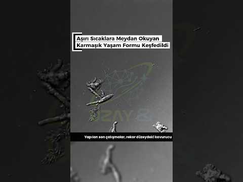 Aşırı Sıcaklara Meydan Okuyan Karmaşık Yaşam Formu Keşfedildi