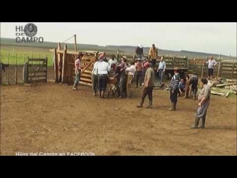 "Hijos del Campo"/ Yerra en Rincón de Zamora-part. 1