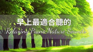 [No advertising background music] Mind healing piano music 🎹 Deep relaxation
