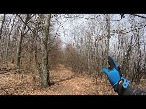 Cautam trasee noi prin Codru ... * Can Am * TGB * Zoo Parc * Green Codru