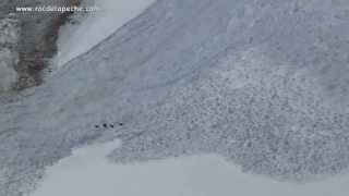 Chamois avalanche - Roc de la Pêche
