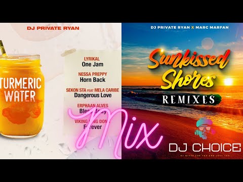 Sunkissed Shores (Remix) & Turmeric Water Mix By DJ Choice | Terri Lyons, Ricardo Drue And More